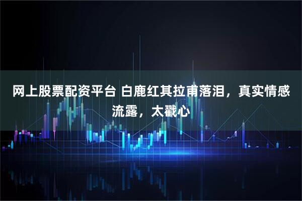 网上股票配资平台 白鹿红其拉甫落泪，真实情感流露，太戳心